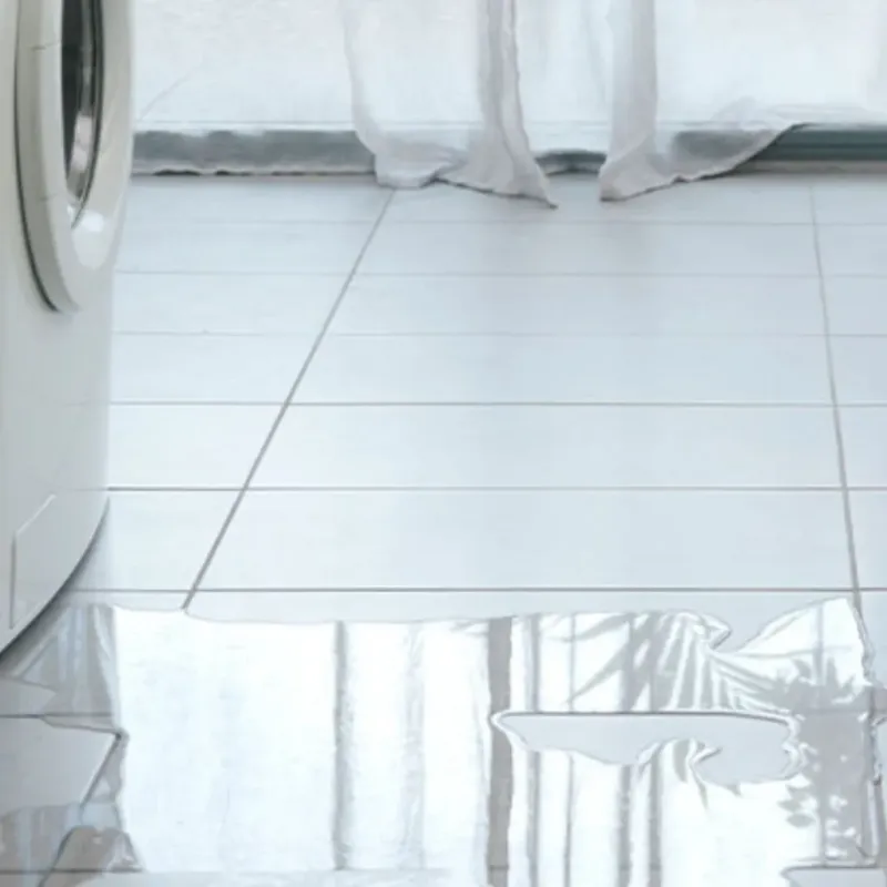 Appliance Leak Cleanup in Forest City, FL