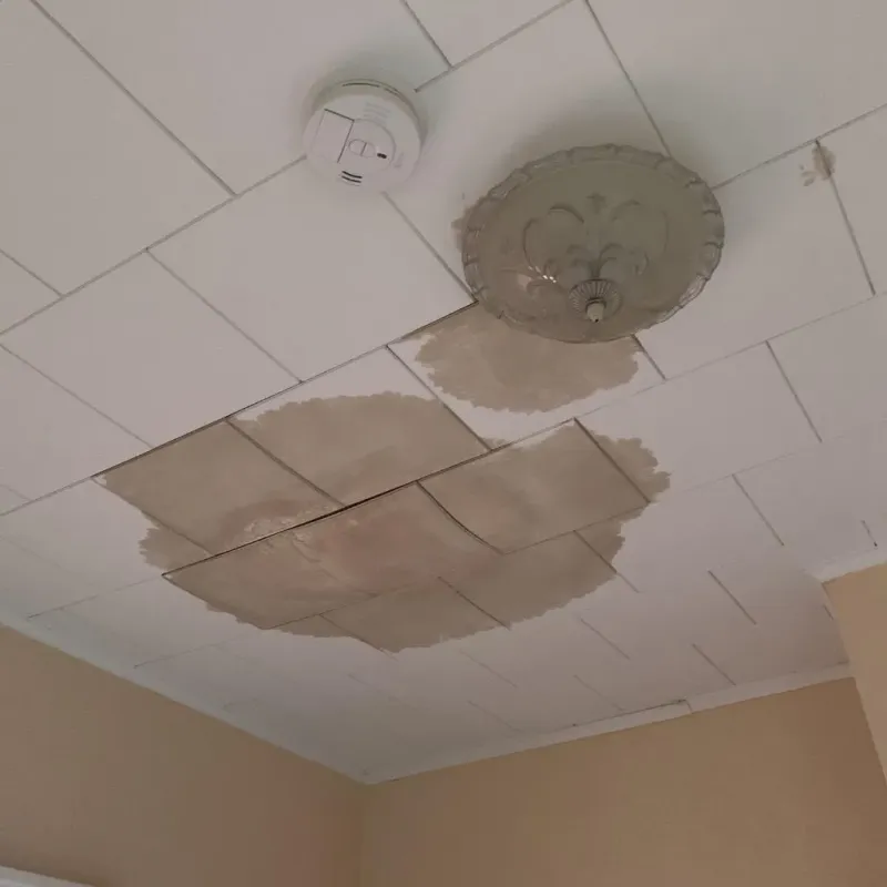 Ceiling Water Damage Repair in Forest City, FL